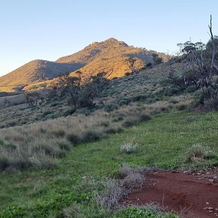 فيلا Pichi Richi Park Quorn المظهر الخارجي الصورة